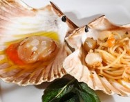 DAYS OF SHELLS IN NORTHWESTERN ISTRIA,  10.3. - 19.3.2017.