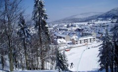 FOREST PARK JAPLENŠKI VRH