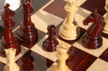 AMATEUR OPEN CHESS TOURNAMENT OPEN TOPUSKO, 12.-19.08.2017.