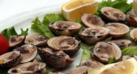 RESTAURANT BADI, UMAG