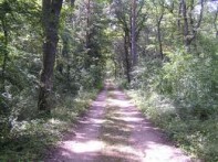 LAUDON GROVE