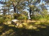 LAUDON GROVE