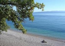 ISLAND LOKRUM