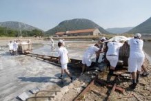 STON SALTERN