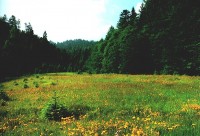 NATIONAL PARK RISNJAK