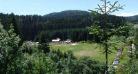 FOREST PARK GOLUBINJAK