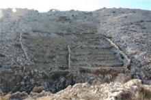 BAŠKA TRAILS