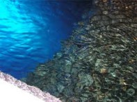 BLUE CAVE, ISLAND BIŠEVO